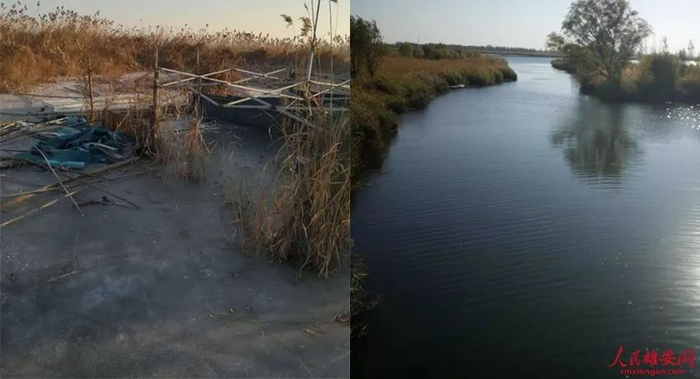 图为清理围堤围埝前后。（安新县宣传部供图）
