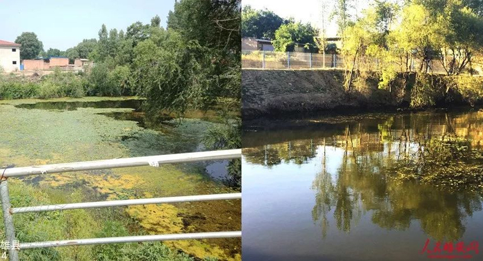 图为雄县雄州镇马蹄湾村坑塘治理前后。（中铁二十二局供图）