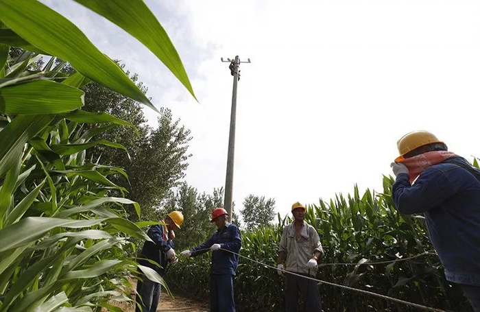 　　▲7月27日，安徽宿州砀山县供电公司员工王奇、许运福等在砀山县薛楼工业园区10千伏黄楼105线路9号杆修复受损电力线路。