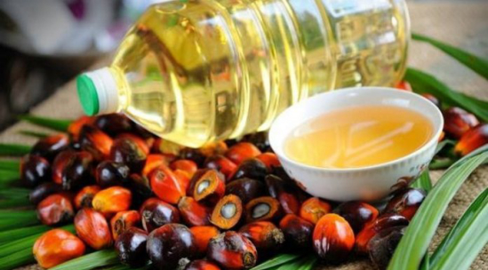  △棕榈果实及棕榈油&nbsp;图片来源：Media Selangor