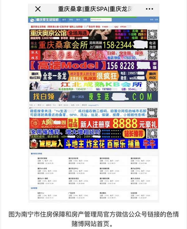 南国早报客户端 图