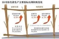 全国生猪生产进入止降回升转折期 供需矛盾有所缓解