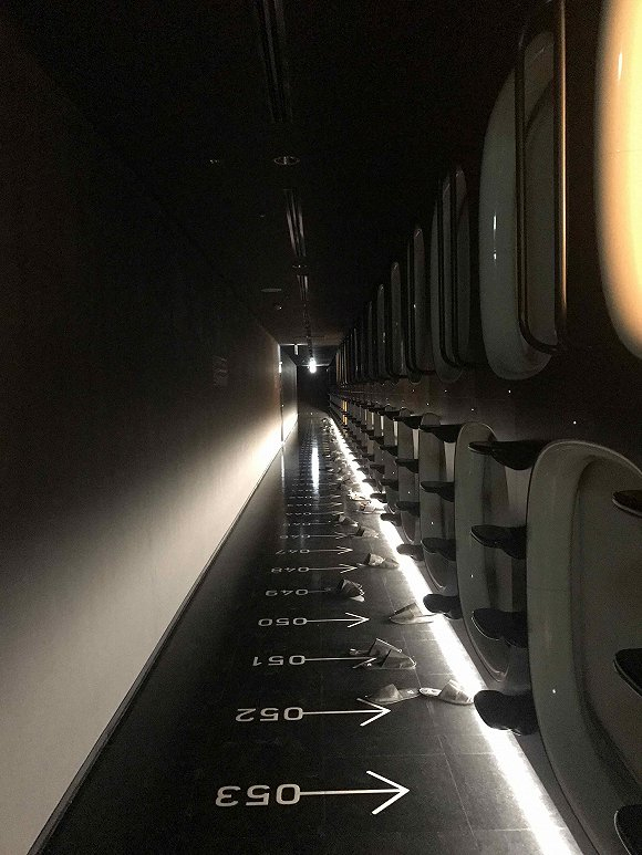 Sue入住的成田机场胶囊酒店。图片由受访者提供