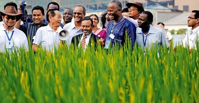  袁隆平带各国朋友参观试验田