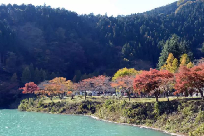 ▲奥多摩湖风光。&nbsp; 图/新华社
