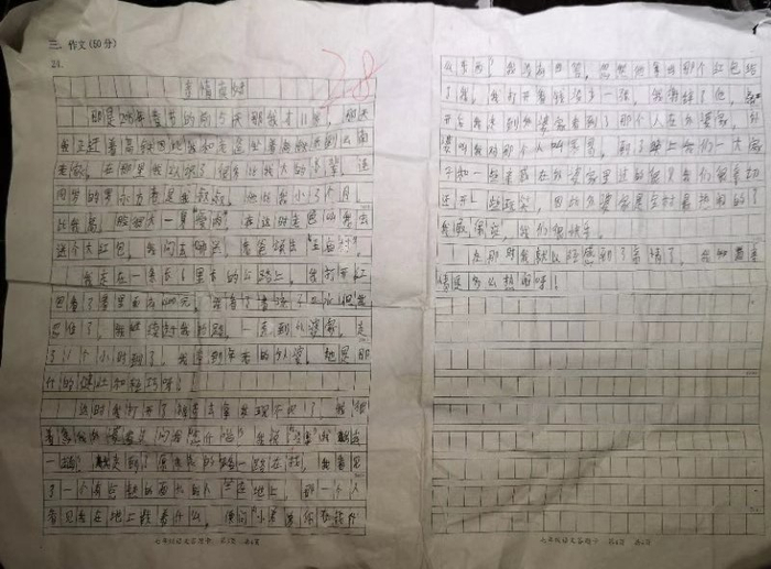 　罗某7年级期末考的语文。作文他以《亲情真好》为题，为自己虚构了新的身份。新京报记者段睿超&nbsp;摄