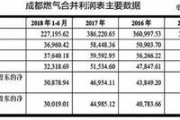 向外拓展难 成都燃气成长性不足