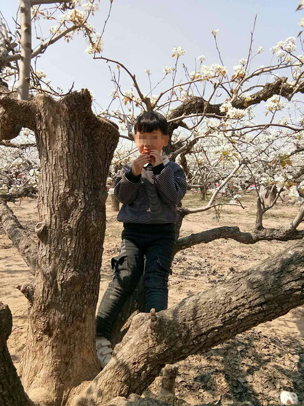 遇害儿童豪豪在果园游玩时拍的照片。&nbsp;&nbsp;家属供图