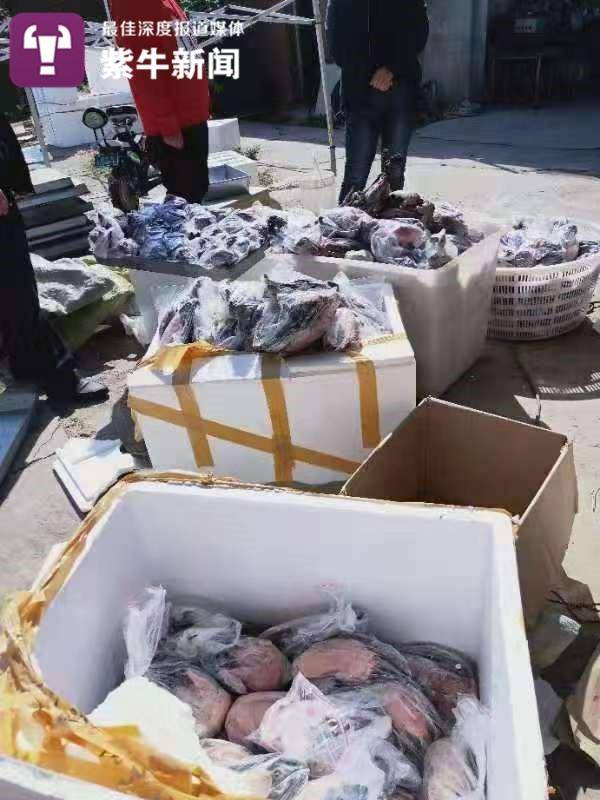 不少野鸭子都被装在塑料袋里