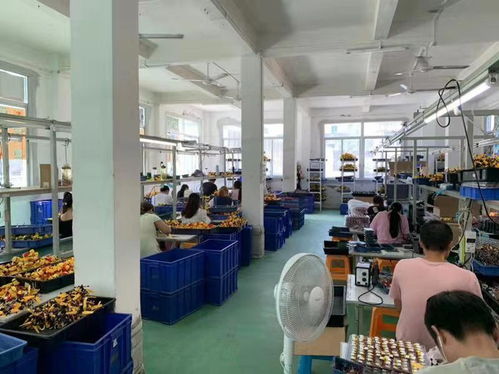  冒牌玩具生产工厂。本文图片均为 静安警方供图