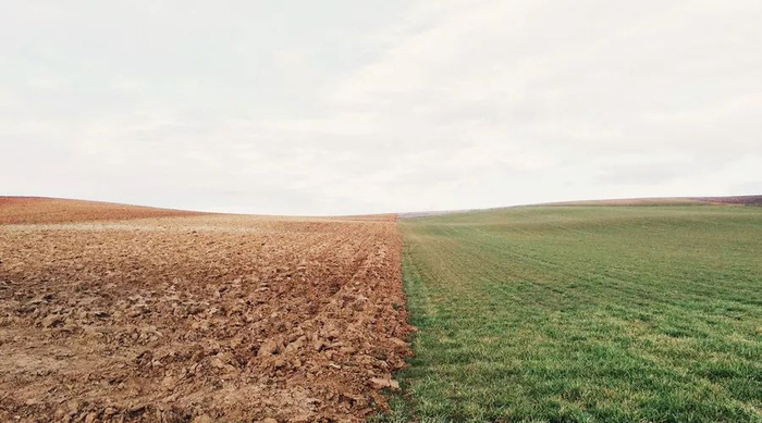 图片来源：摄图网