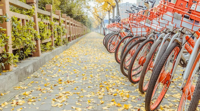  图片来源：摄图网&nbsp;