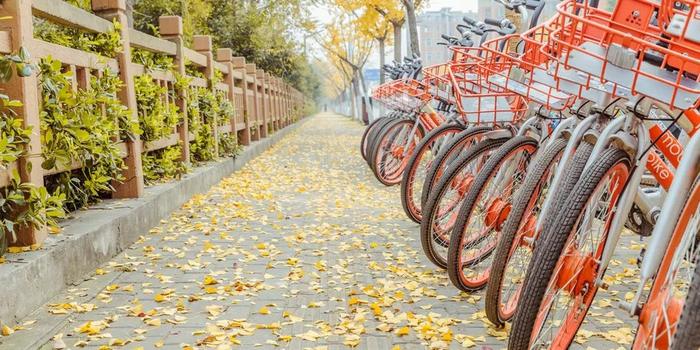 媒体:摩拜单车 英国国民素质的照妖镜