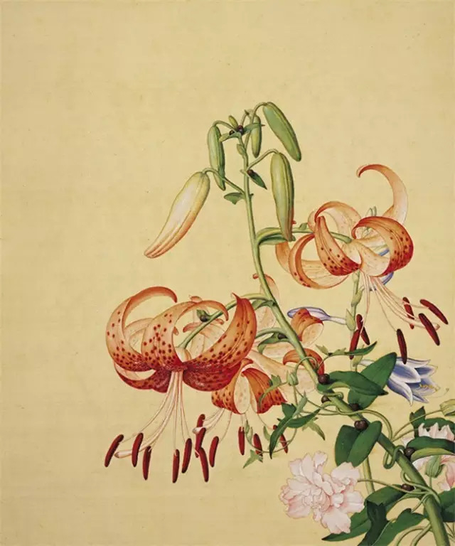 鉴赏|清廷画师郎世宁精品作品集