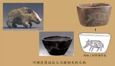 图为河姆渡遗址出土的与猪相关的文物，由受访者供图