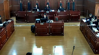 天一案二审现场。视频截图