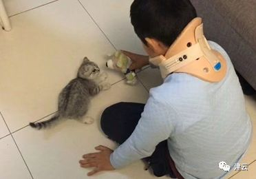 晨晨和治疗他抑郁的奶猫玩耍。