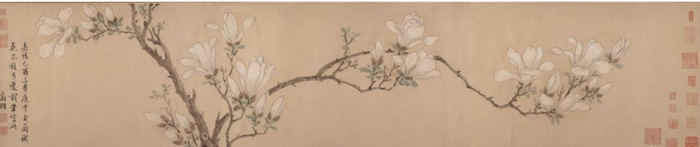 《白玉兰图卷》文徵明（明）