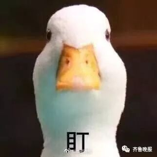 资料图