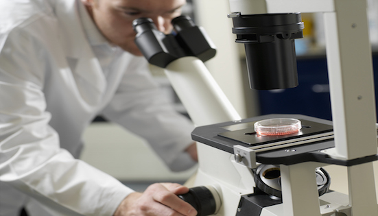 图片来源 视觉中国