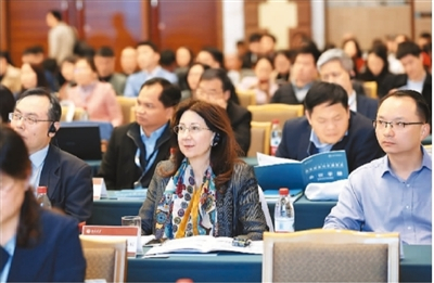 中外专家在研讨会上听取发言。 　　韩 磊摄