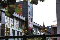 国务院调查组:长生问题百白破近50万支 超9成销往山东