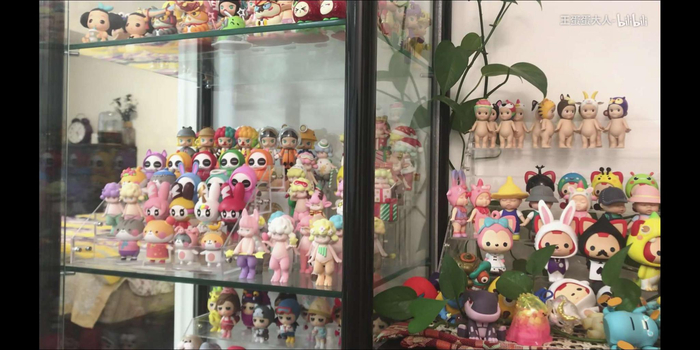  王蛋蛋整理好的盲盒架。视频截图