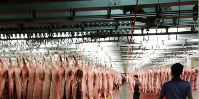上海农贸批发市场猪肉交易摸底调研