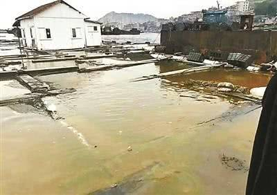 被污染的养殖水体，图自新华网