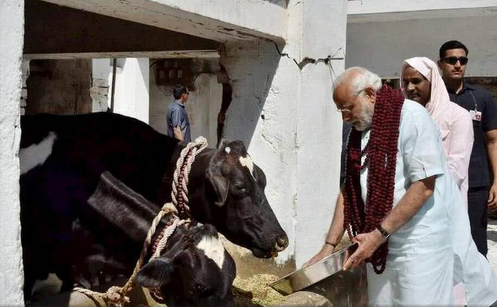 资料图自印度报业托拉斯