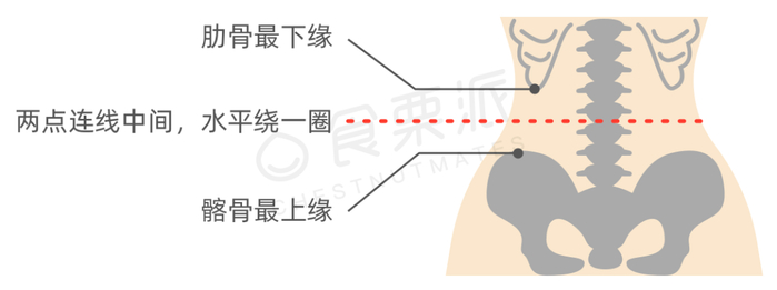 最新腰围标准出炉,快看看你达标了没