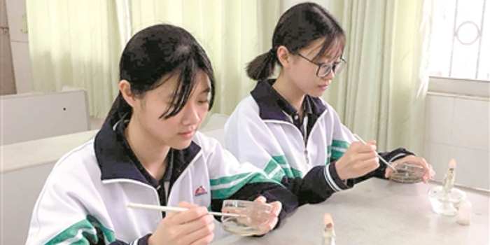 微 妙 微 肖 佛山学生用微生物 作画 手机新浪网