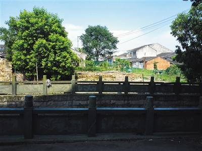 黄伟的祖籍浙江苍南县金乡镇黄家宅村。