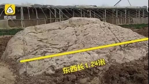 ▲静山 &nbsp;梨视频截图