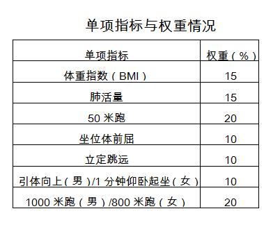 大学生体测单项权重情况