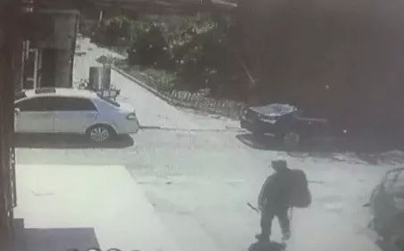 ▲图片由小区居民提供