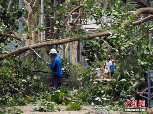 　　9月17日上午，工程人员在香港维多利亚公园砍锯倒塌的树木。受台风“山竹”影响，香港有1500宗塌树报告，维园受灾严重。中新社记者 洪少葵 摄