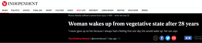  （《独立报》报道截图）