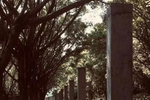 广州大学城“围墙史”：理想丰满，现实骨感