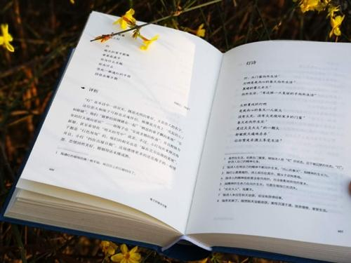 《海子抒情诗全集（评注典藏版）》出版方供图