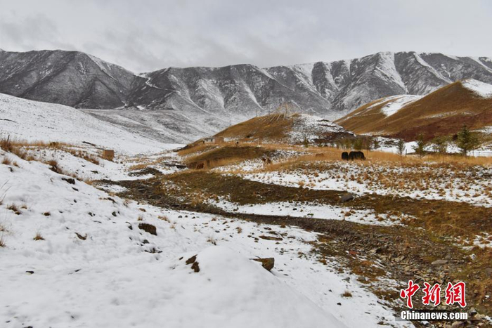 心中的白雪早已纷飞