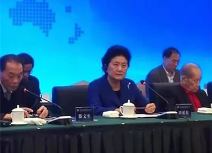 △刘延东在会议现场