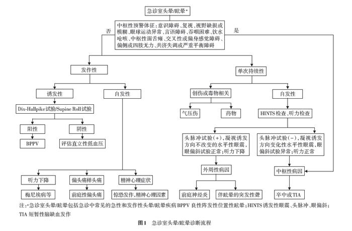 头晕/眩晕基层诊疗指南（实践版·2019）发布：3分钟划重点！