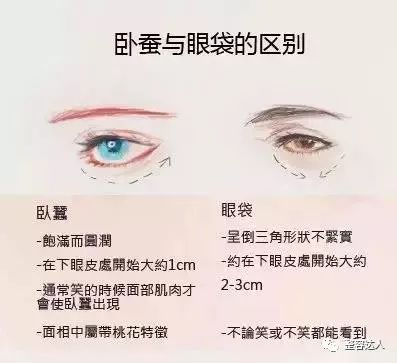 卧蚕与眼袋的区别
