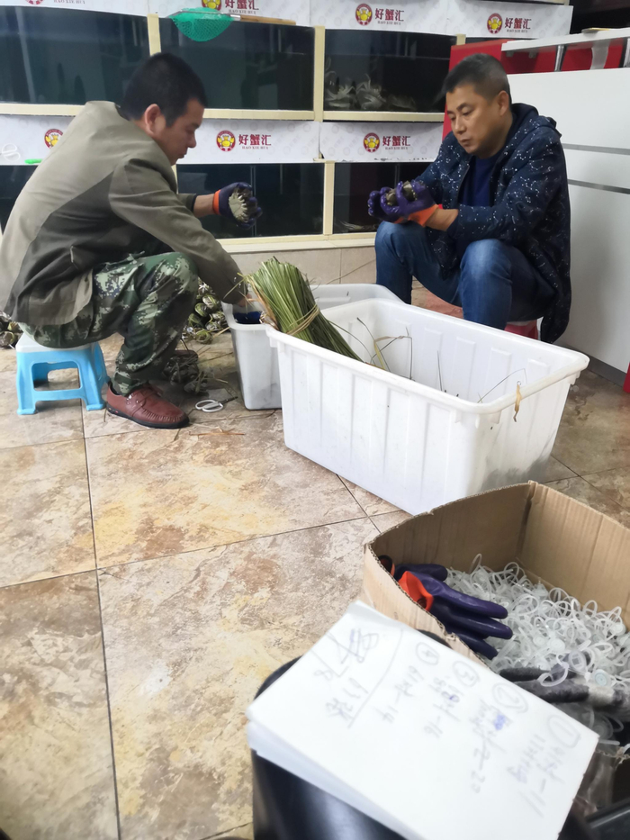 朝阳区朝阳路的好蟹汇店，该店摆放着印有“阳澄湖大闸蟹”字样的红色招牌，店内两男子正在绑蟹扣，但扫码显示结果为该公司自有的溯源系统。新京报记者 程亚龙 摄