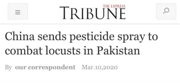 ▲《论坛快报》报道截图