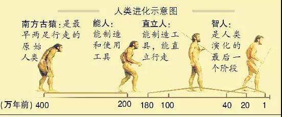 380万年前的猿人头骨,告诉你不一样的“人类进化史”|冰河期|视觉中国_新浪新闻