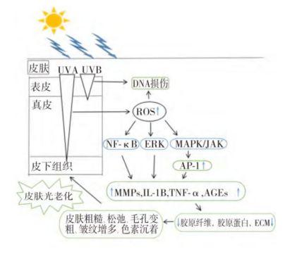 这些实惠有效的「冻龄」秘诀，谁做谁赚到！