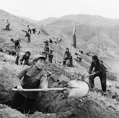 ▲当年的“密云县铁姑娘造林队”常年坚持造林。（《北京日报》）