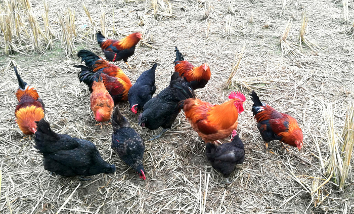 图片来源/资料图片